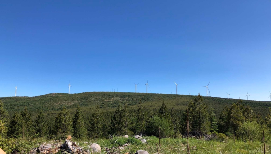 wind turbines against a blue sky